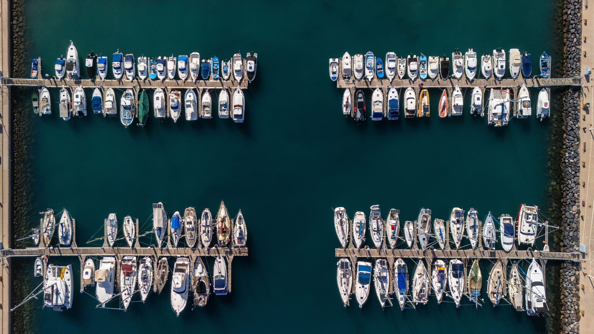 Rows of boats docked in a marina